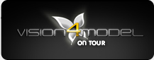 Vision4Model on Tour